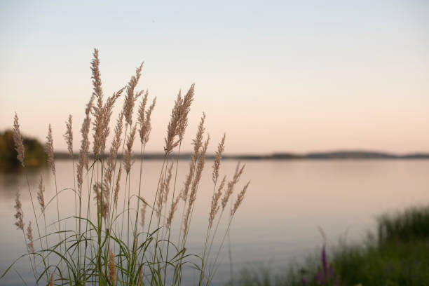 Jasna przestrzeń dobrostan z naturalnym nastrojem